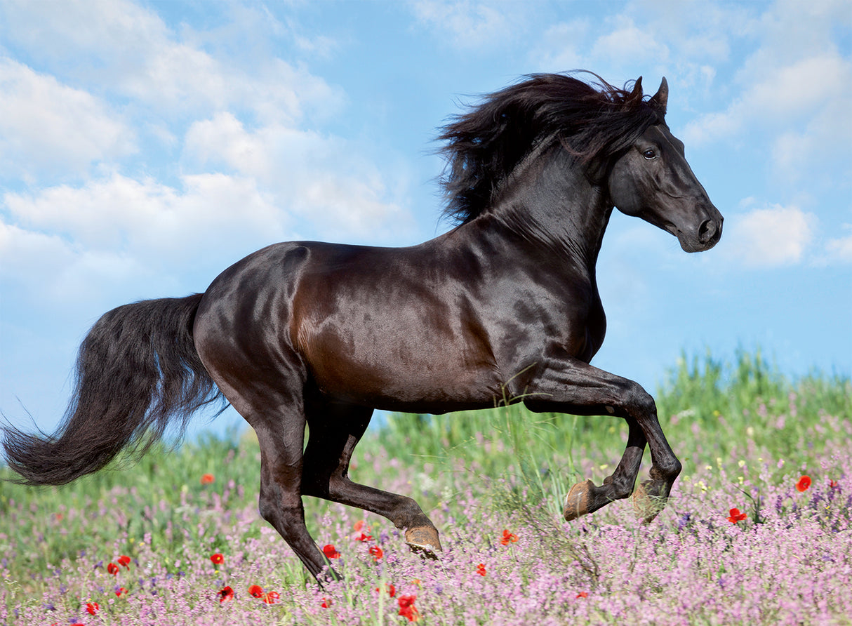 Ravensburger pusle 200 tk Must ratsu 128037V