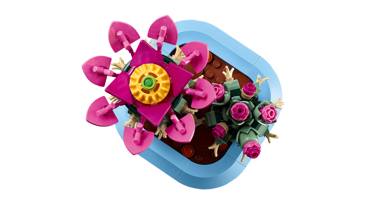 LEGO Botanicals Õitsev kaktus 11509L