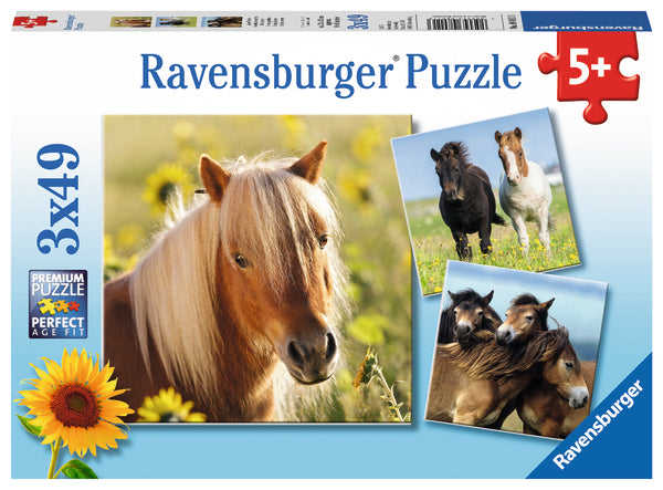 Ravensburger pusle 3x49 tk: Armsad hobused
080113V