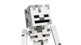 LEGO Minecraft Luukere 21594L