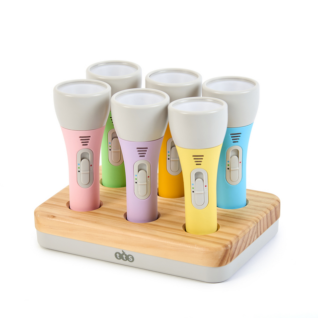 TTS värvimuutvad taskulambid laadimisalusega, 6 tk SN45190B