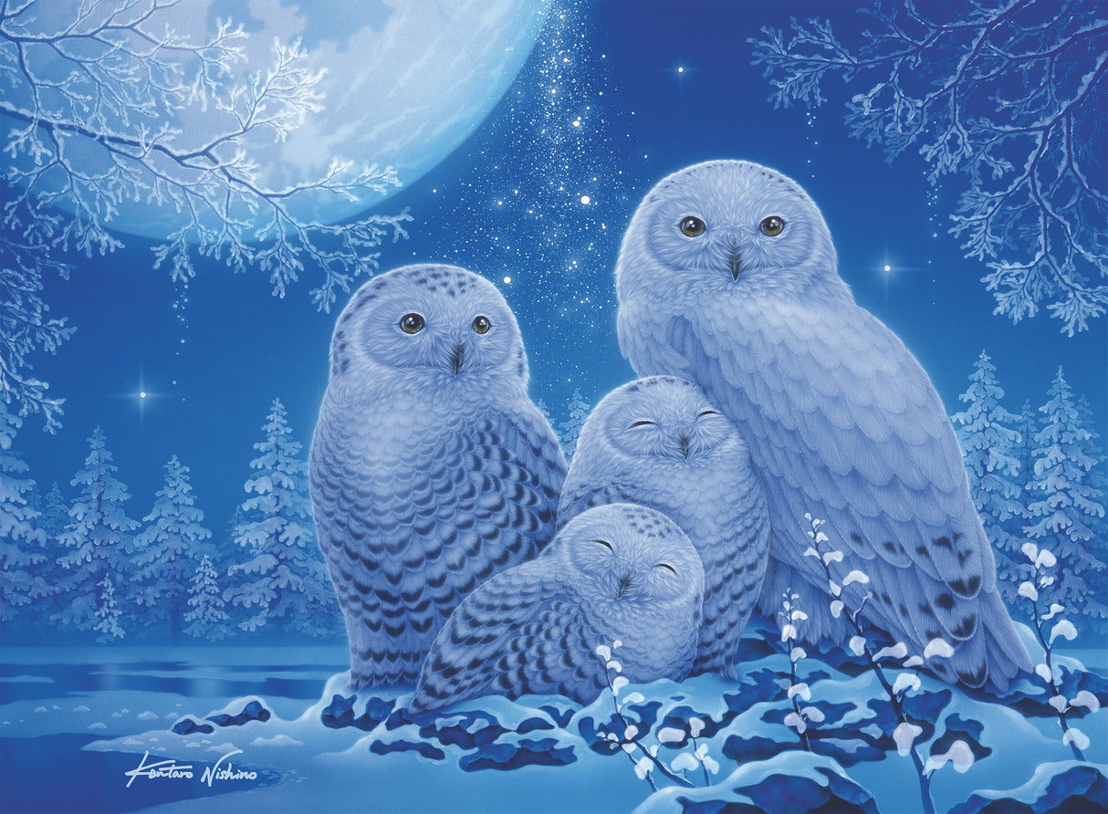 Ravensburger pimedas helendav pusle 500 tk: öökullid kuuvalgel 12000479V
