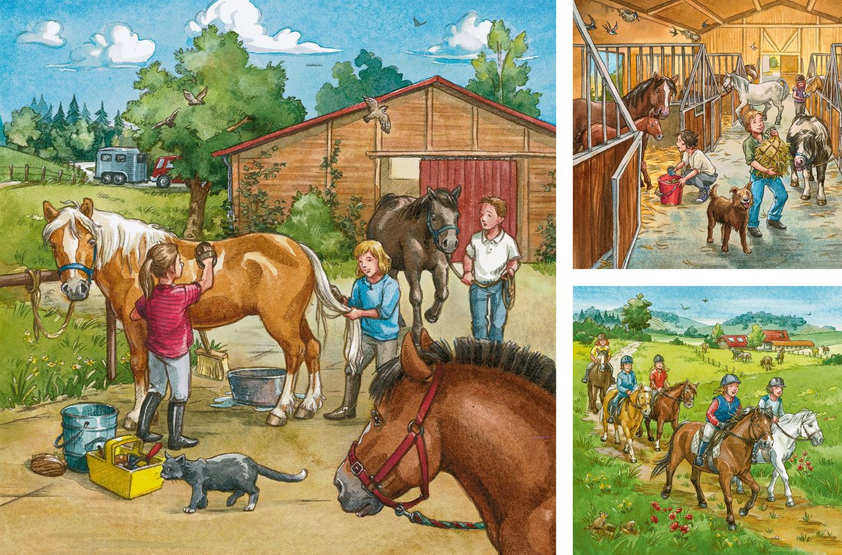 Ravensburger pusle 3x49 tk Päev hobustega 092376V