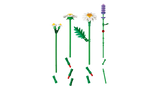 LEGO Botanicals Karikakrad 11508L