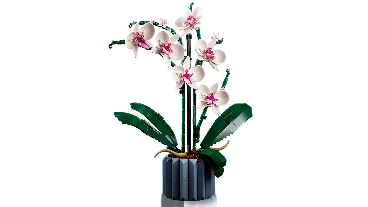 LEGO Botanical Collection Orhidee 10311L