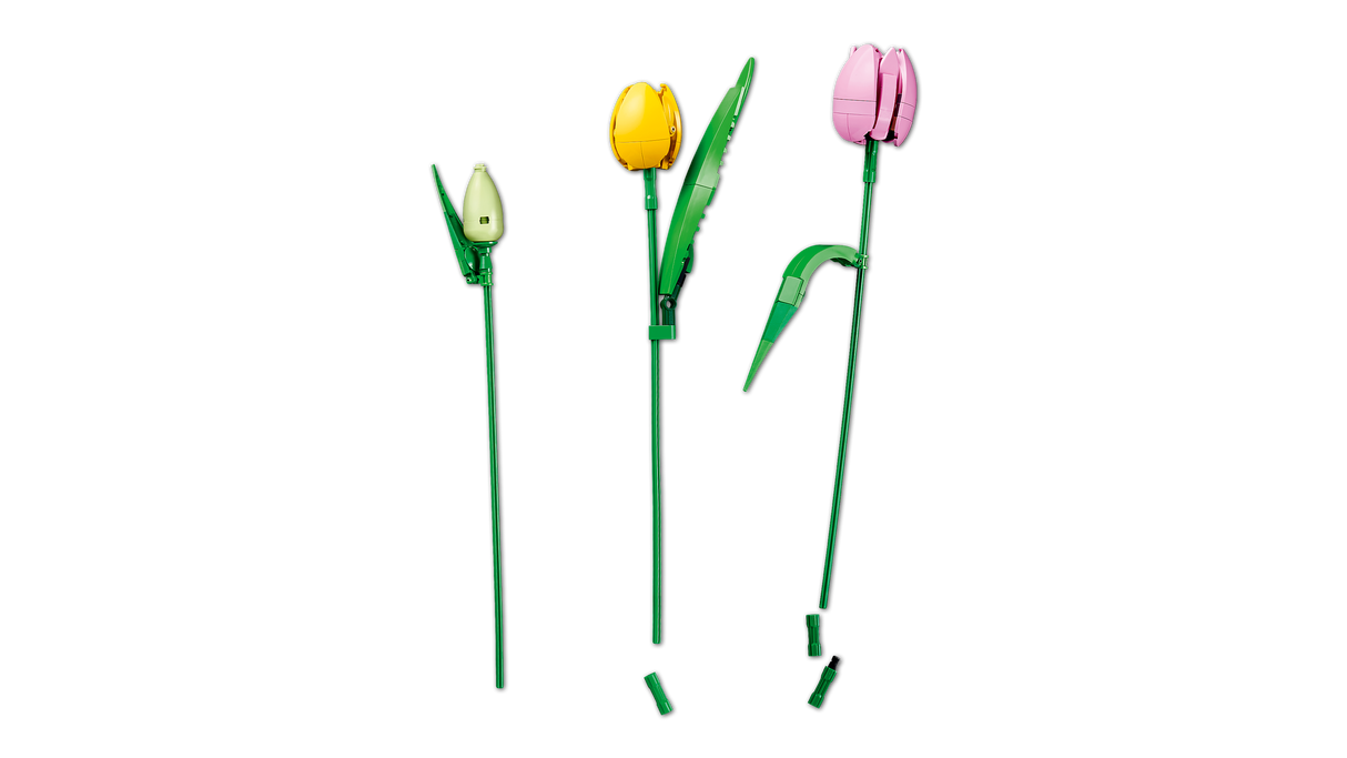 LEGO Botanicals Tulbikimp 11501L