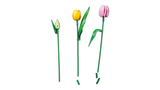 LEGO Botanicals Tulbikimp 11501L
