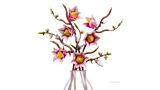 LEGO Botanicals Magnooliaoksad 11510L