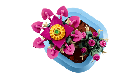 LEGO Botanicals Õitsev kaktus 11509L