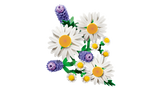 LEGO Botanicals Karikakrad 11508L