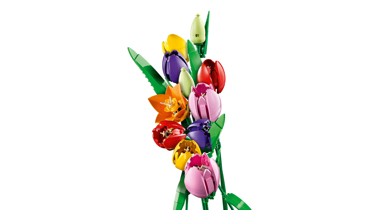 LEGO Botanicals Tulbikimp 11501L