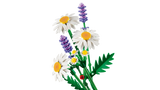 LEGO Botanicals Karikakrad 11508L