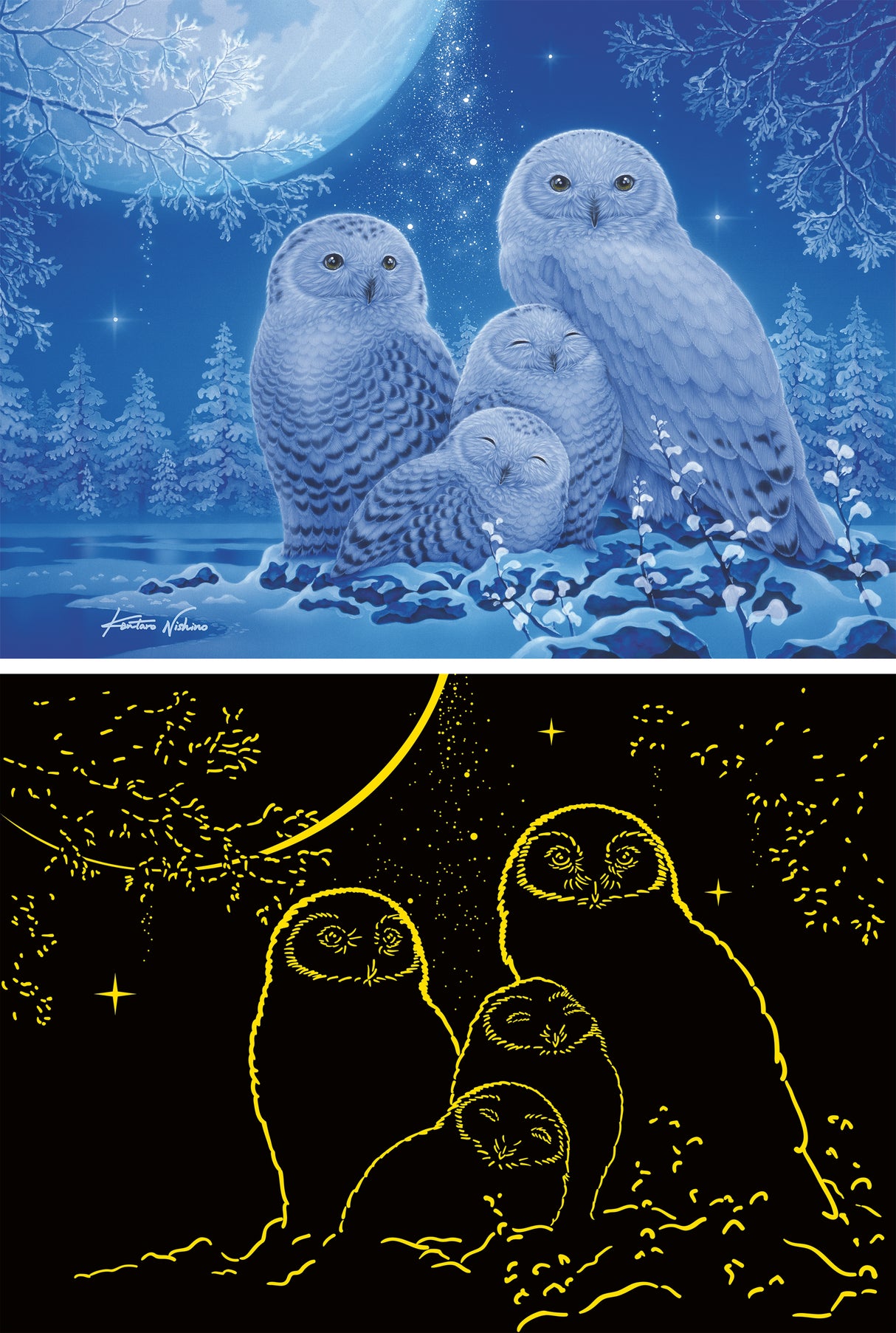 Ravensburger pimedas helendav pusle 500 tk: öökullid kuuvalgel 12000479V